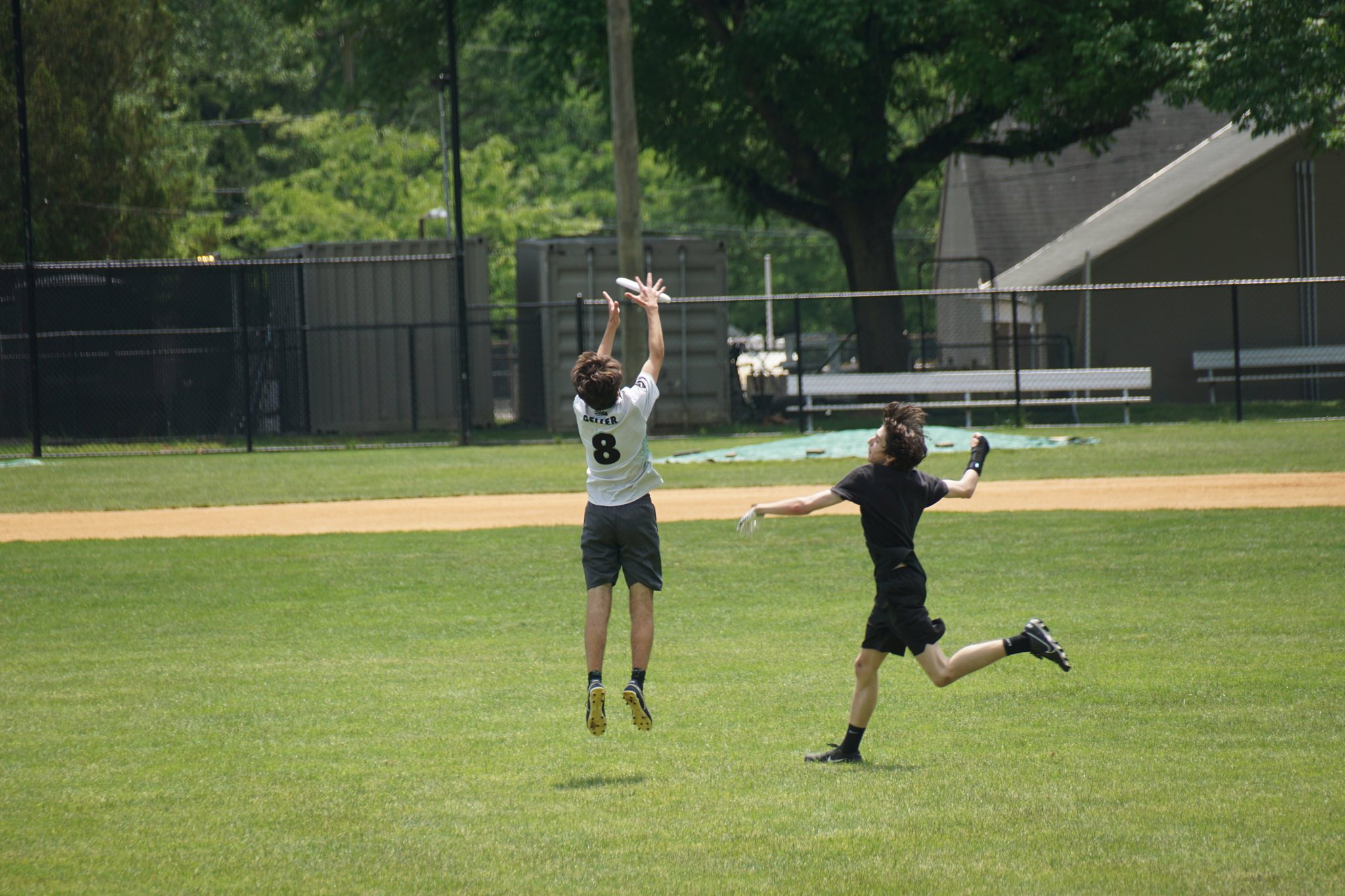 A Pitchers player leaping for a catch at a Walter Johnson game